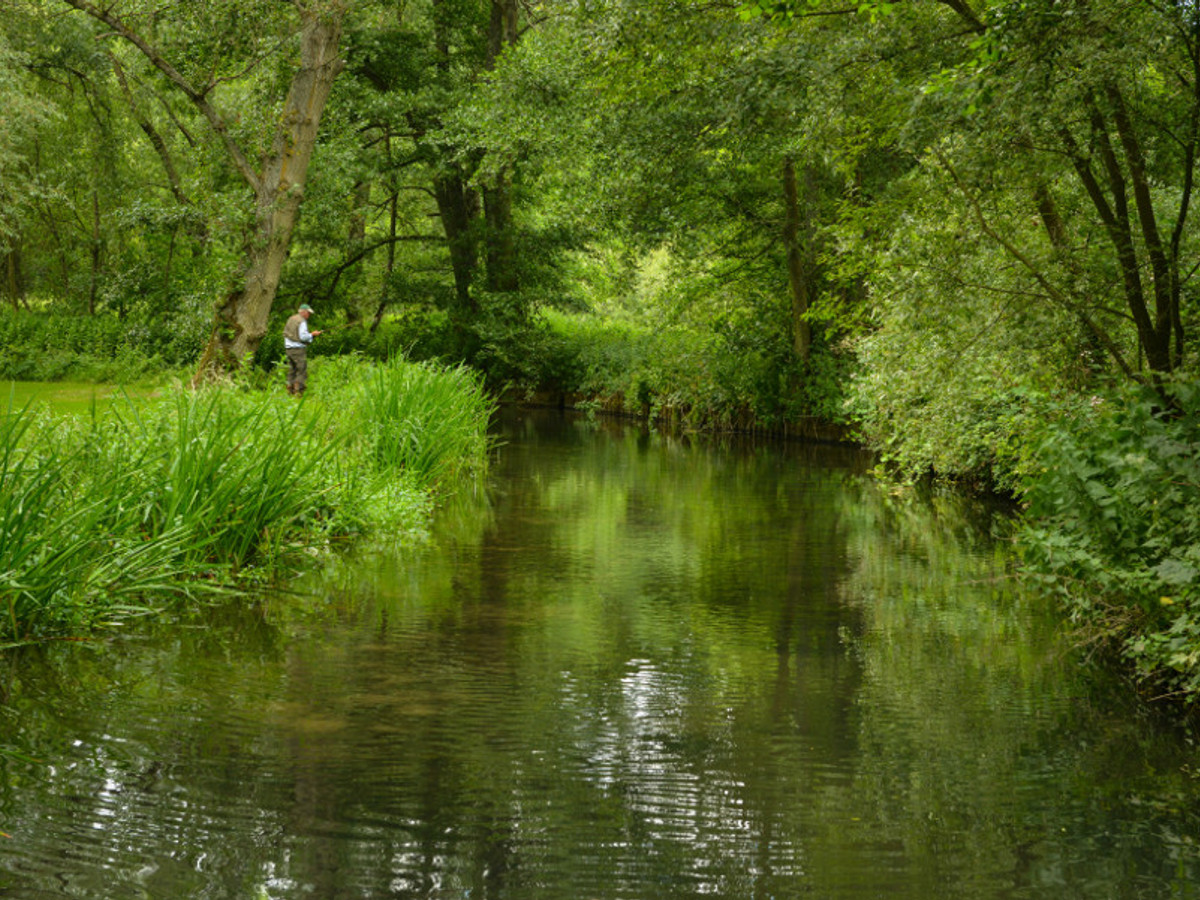 View of the School Farm fishing beat on the River Test