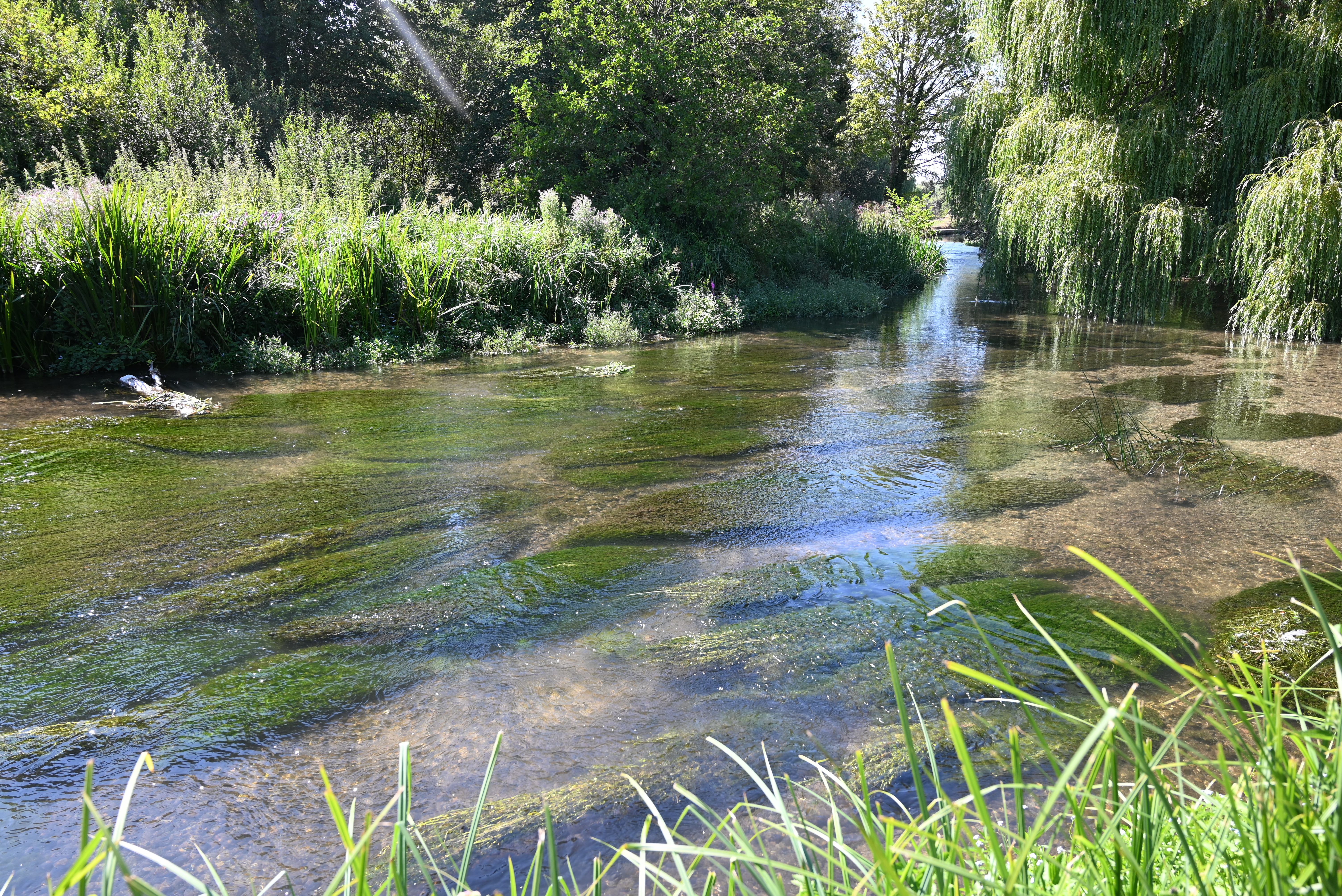 Picture of a Chalkstream