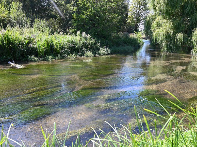 Picture of a Chalkstream