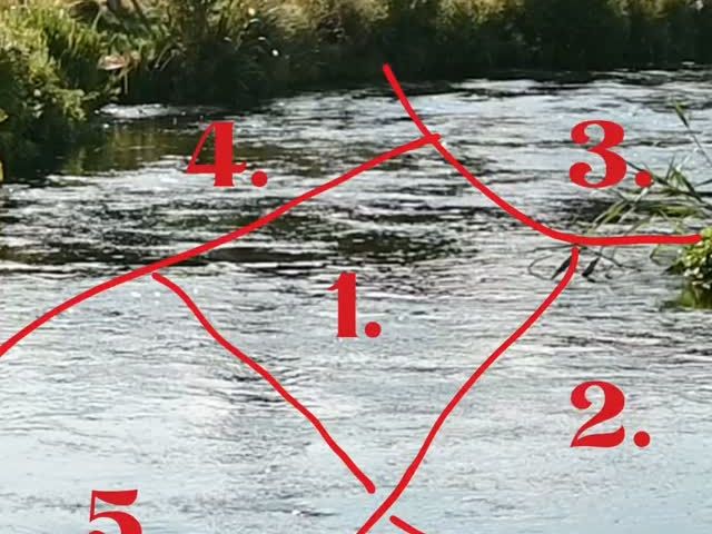Where do you cast first???

#flyfishinguk #flyfishing #fishing #flycasting #flycasting