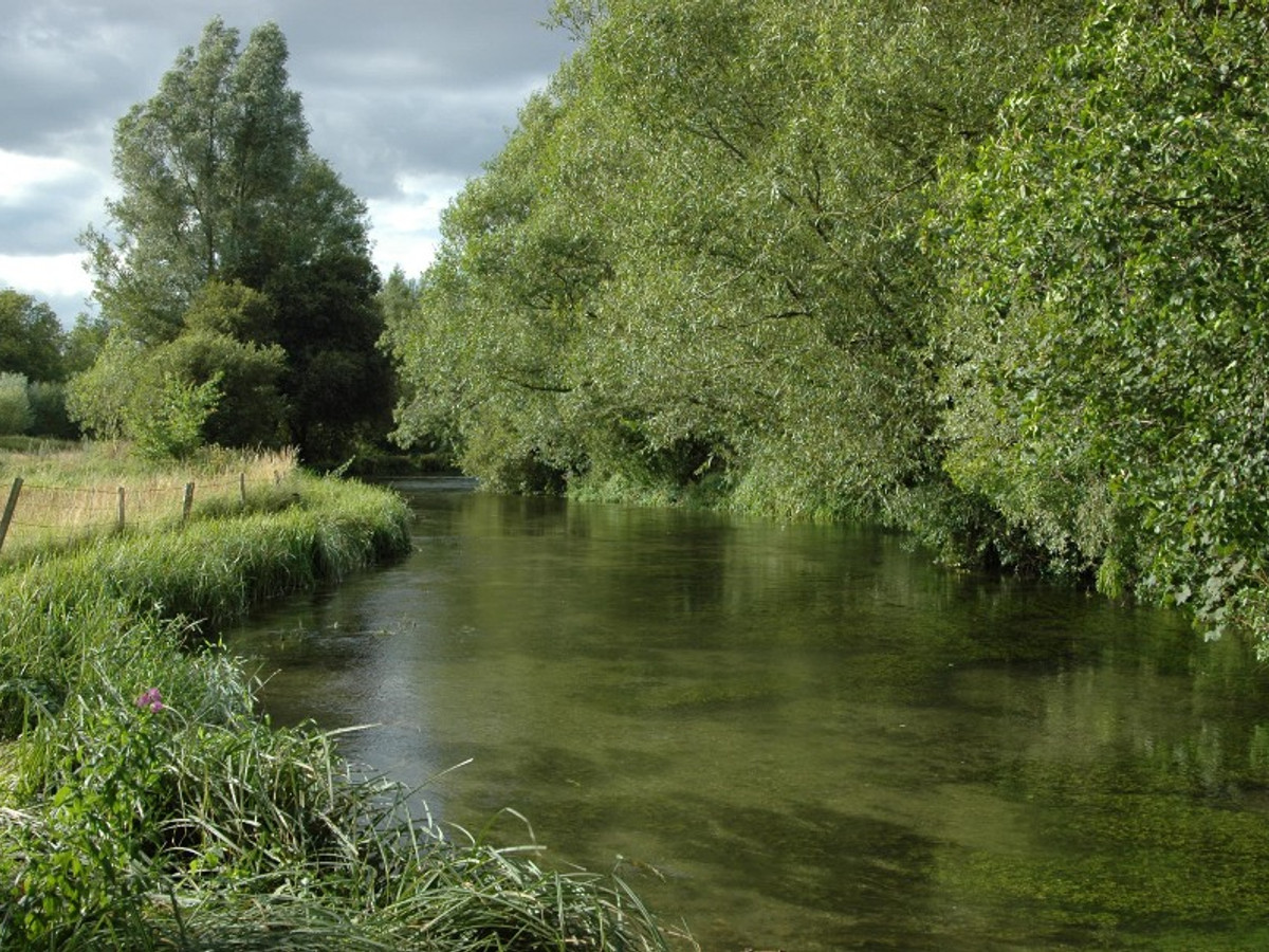 Picture of the river Anton at Upper Clatford