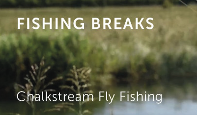 Fishing Breaks logo