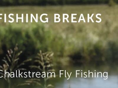 Fishing Breaks logo