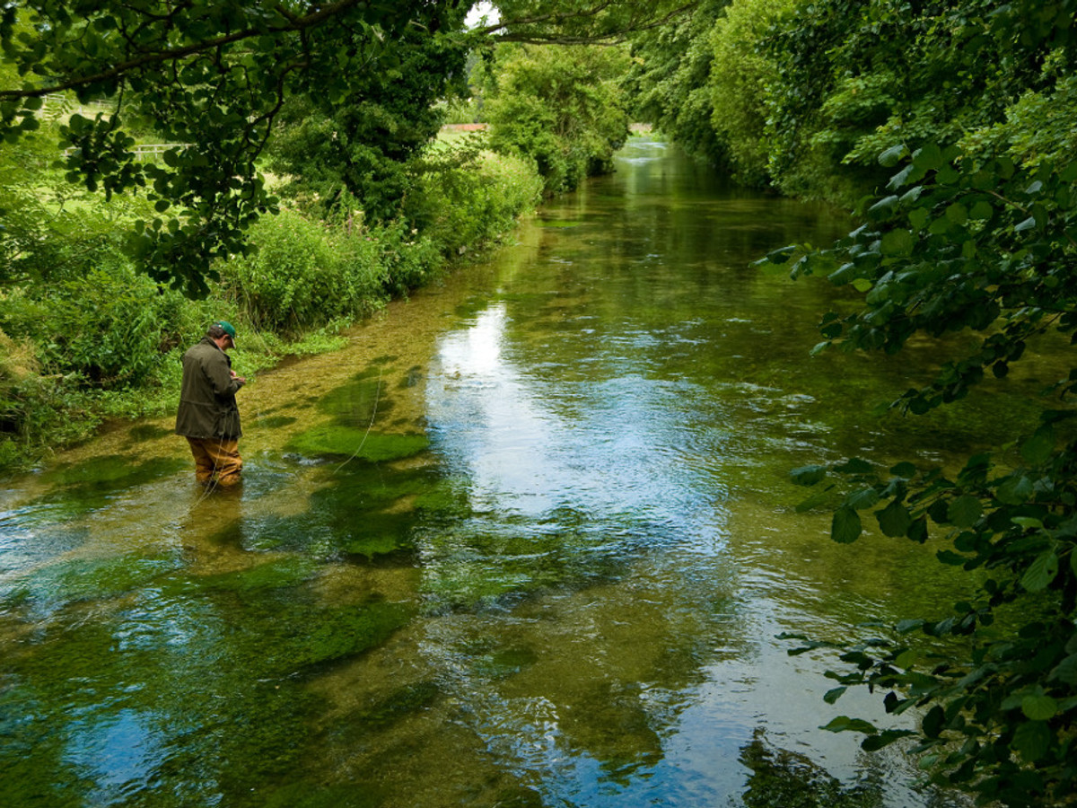 View of the Whitchurch Fulling Mill fishing beat on the River Test