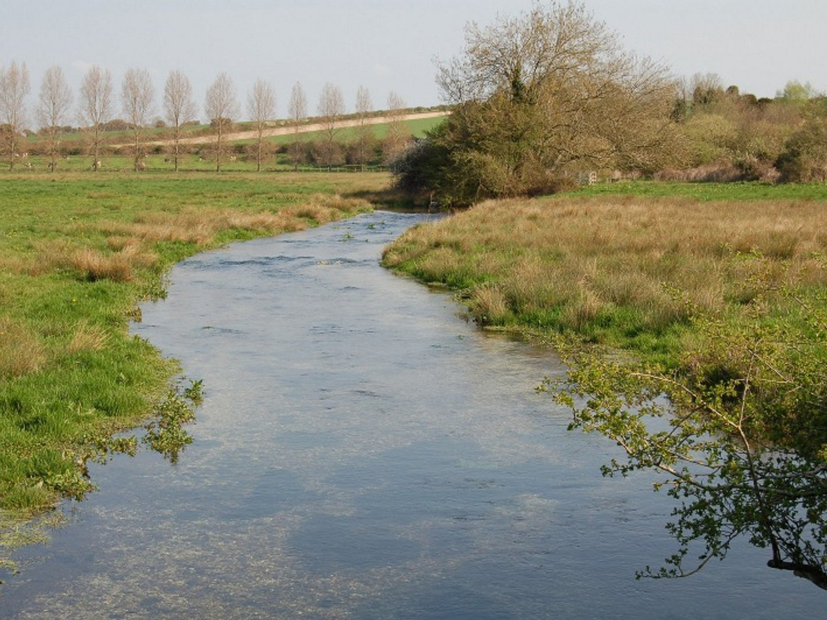 View of the Wimborne St. Giles fishing beat on the River Allen