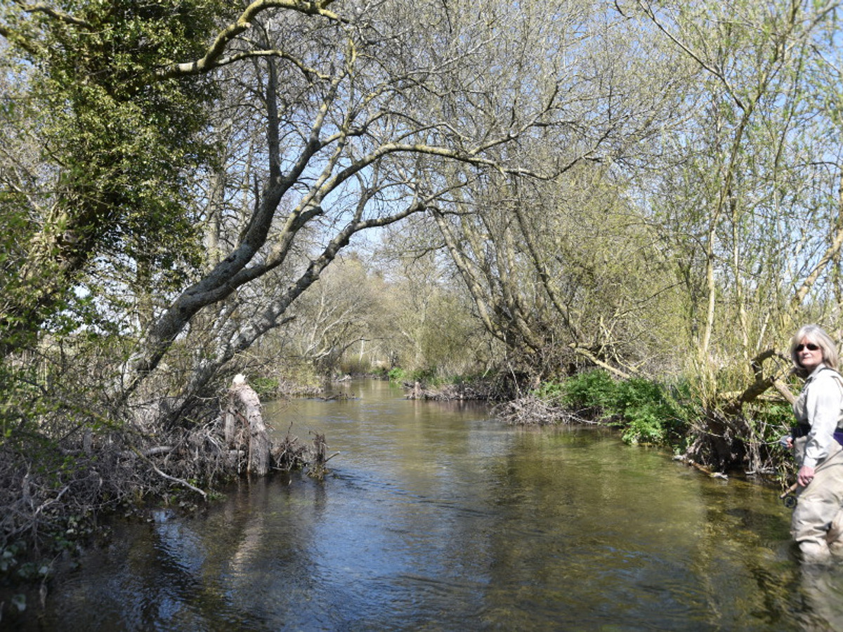 View of the Hemsworth Huts fishing beat on the River Allen