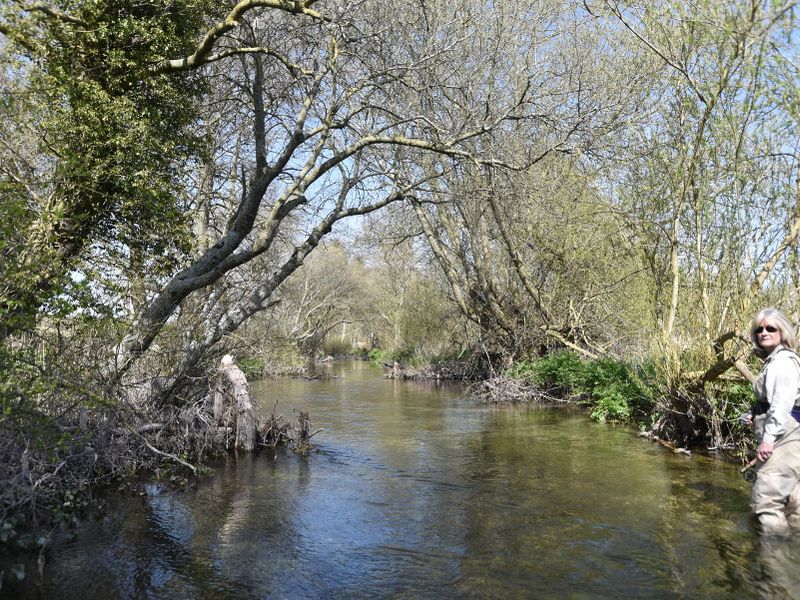 View of the Hemsworth Huts fishing beat on the River Allen