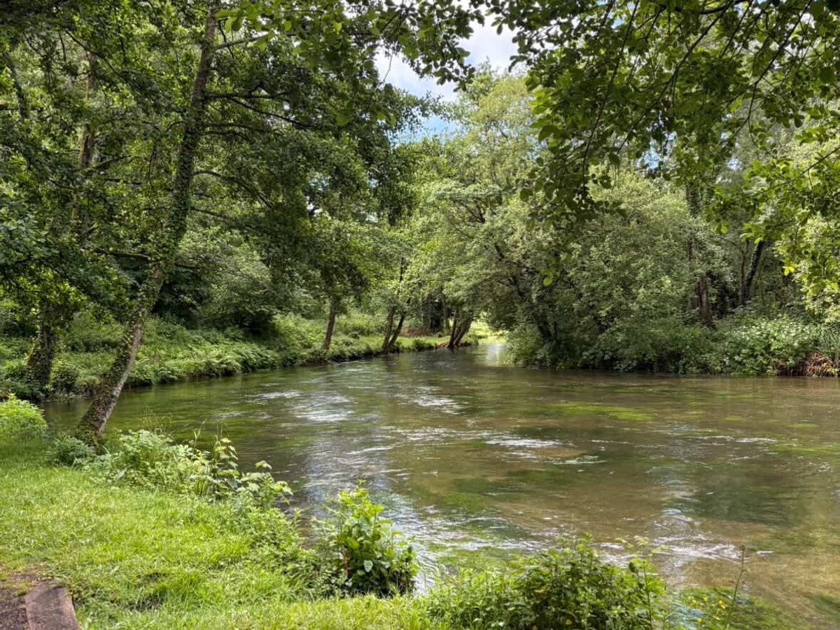 Pictures of the river itchen