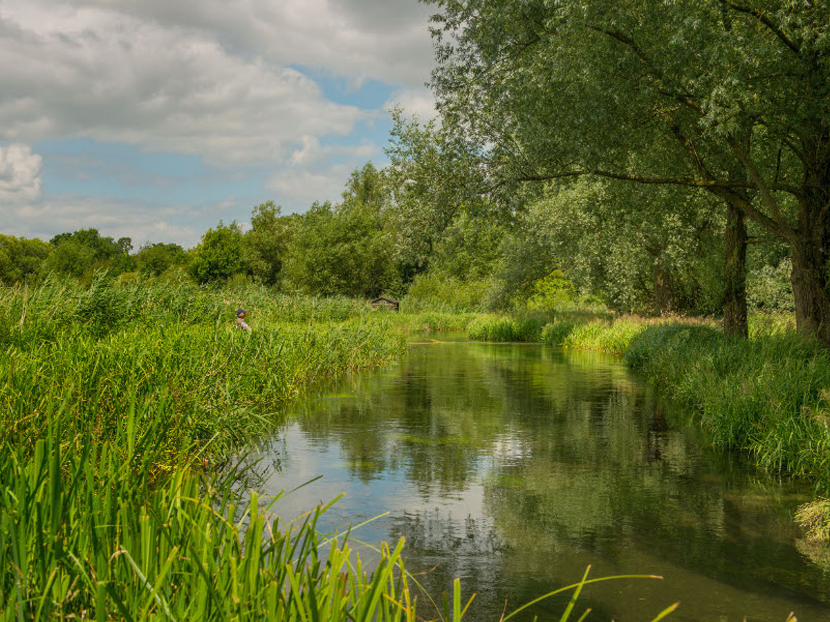 View of the Middleton fishing beat on the River Test