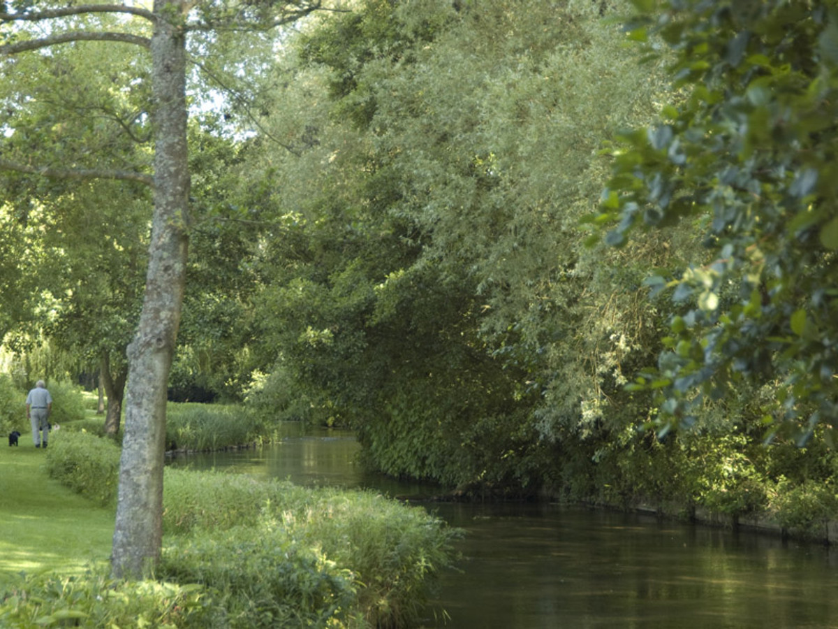 View of the School Farm fishing beat on the River Test