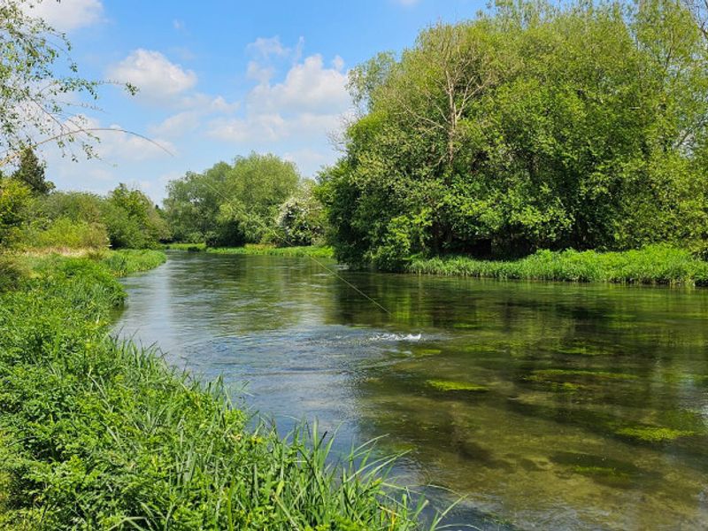 Shawford Park