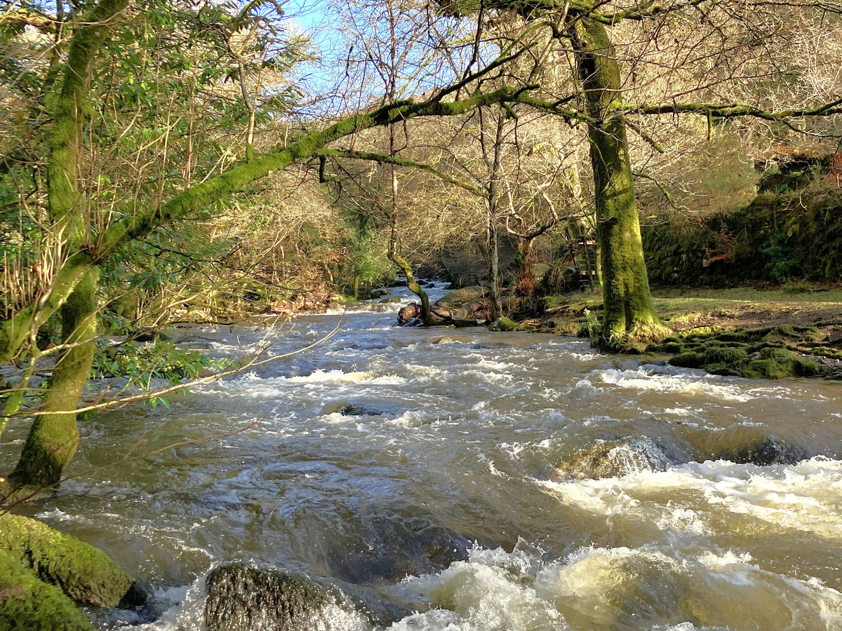 Tavy Walkham and Plym Fishing Club