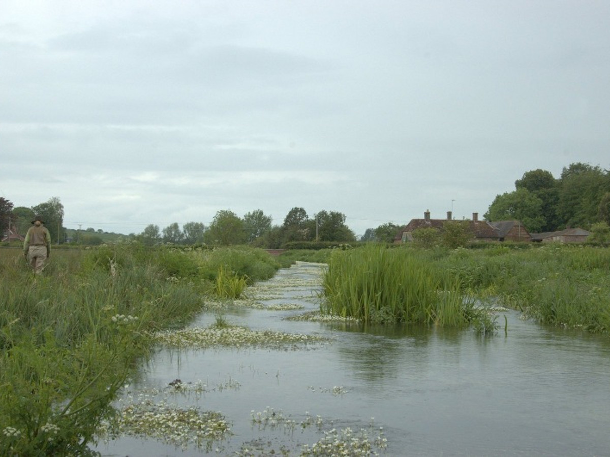 View of the Wimborne St. Giles fishing beat on the River Allen