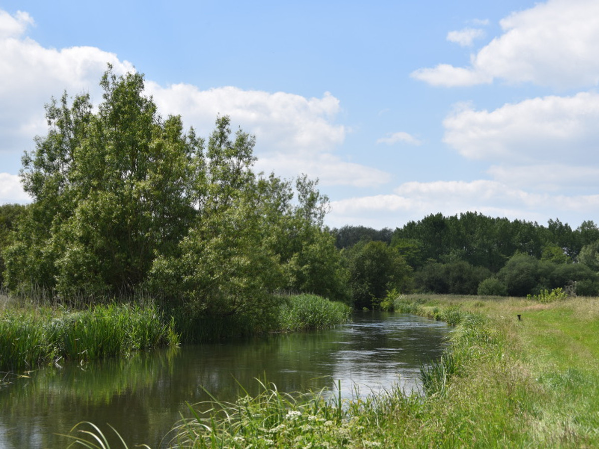 View of the Benham Estate fishing beat on the River Kennet