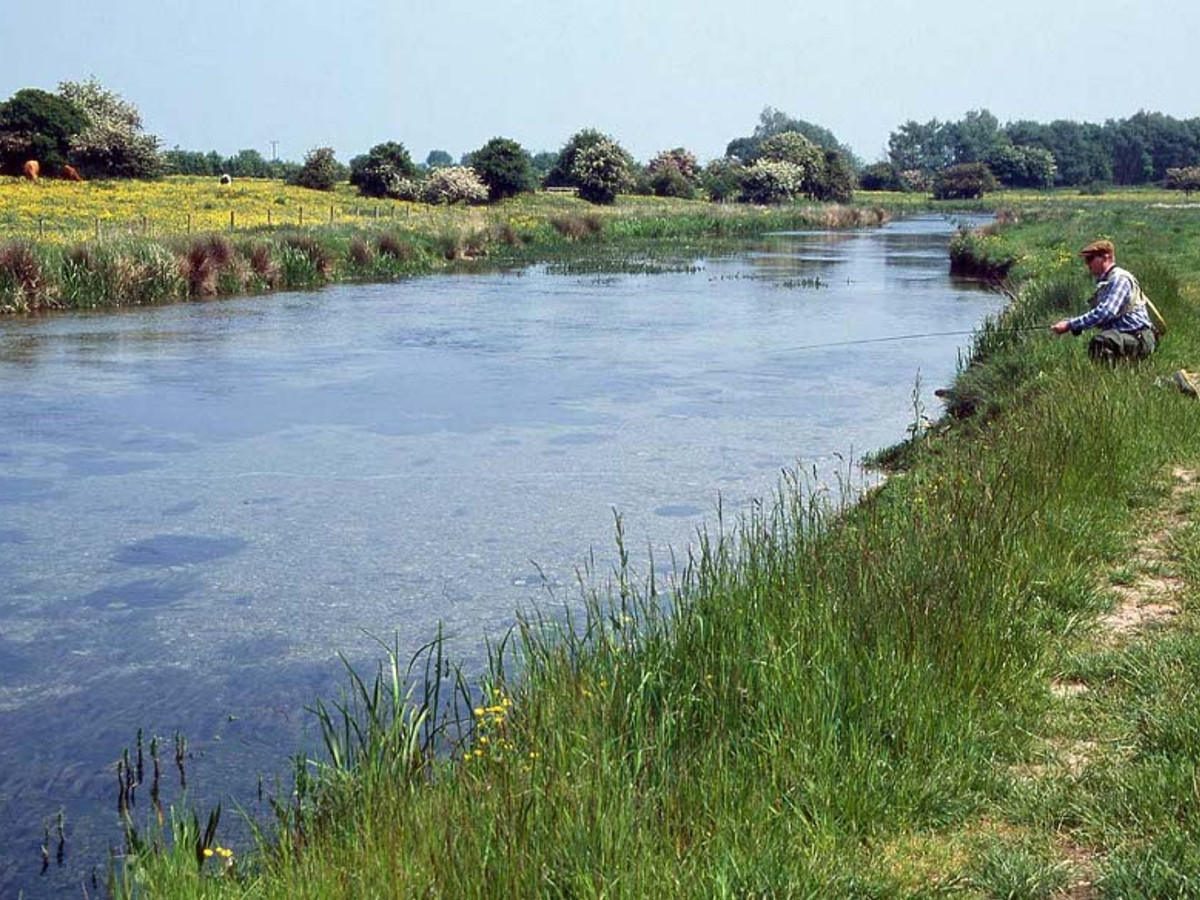 Fishing the Driffield Beck at Mulberry Whin