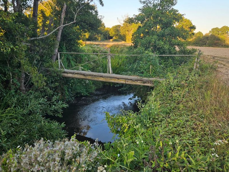 Old bridges tell a lot of stories. They can be intimidating too.
 
#flyfishing #flyfishinguk #rivere
