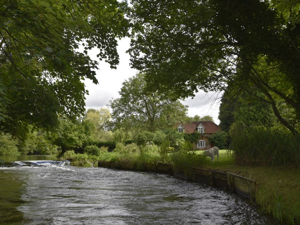 Picture of the river Itchen at Qing Ya Xi