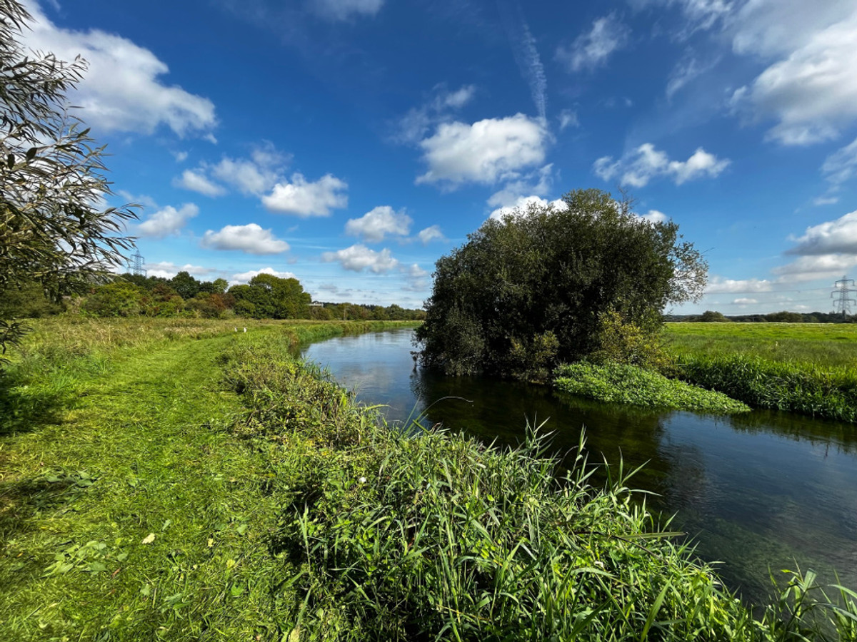 View of the Breach Farm fishing beat on the River Itchen